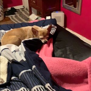 Meet your Posher, Derek